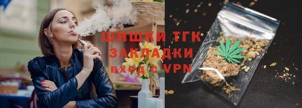 индика Карталы
