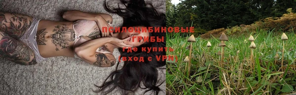 a pvp Касимов